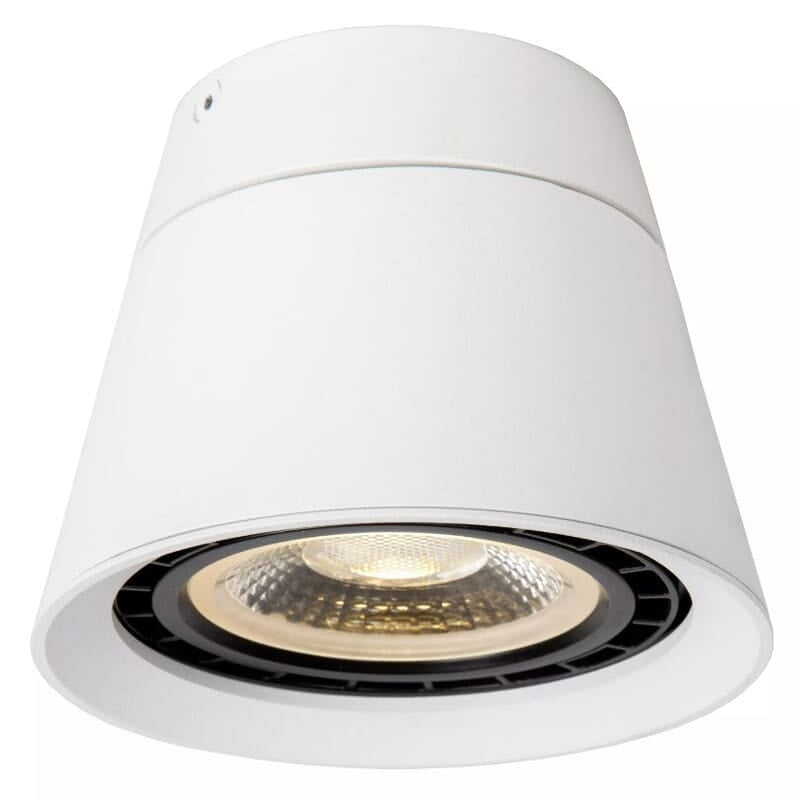 Lenos Adjustable Spotlight