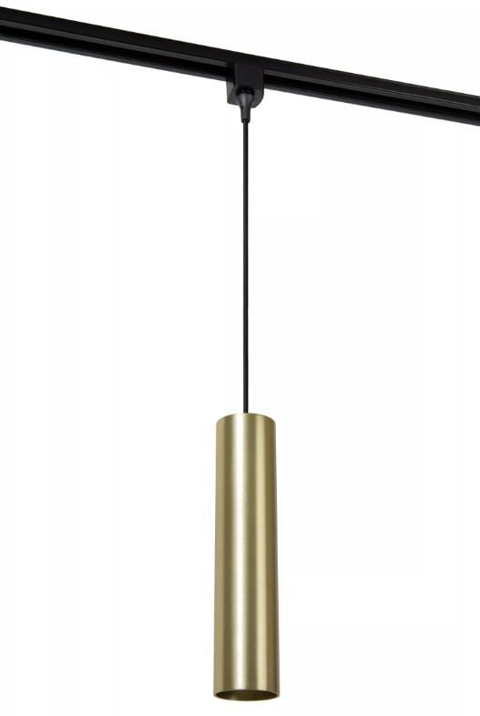 Pendant on Track Light System - Gold