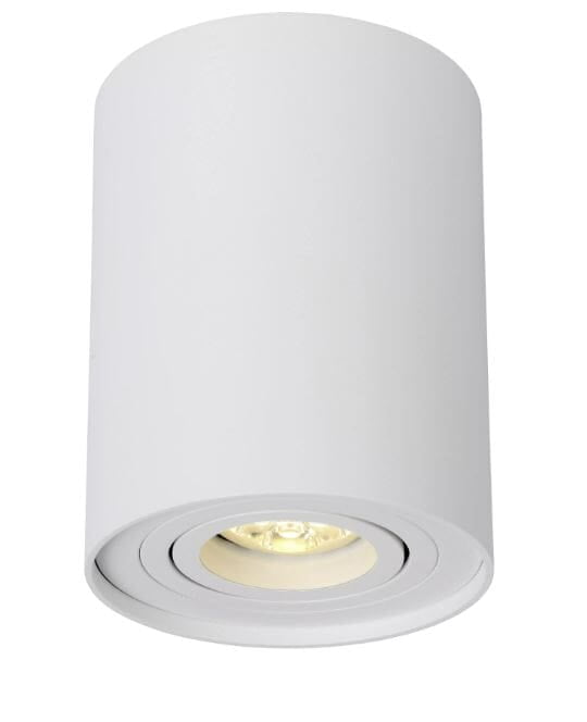 Trigon Spotlight